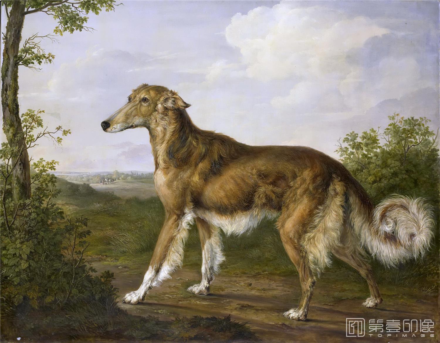 油画-荷兰阿姆斯特丹国家美术馆-Dasveldt Jan Siberische windhond 1825-0367